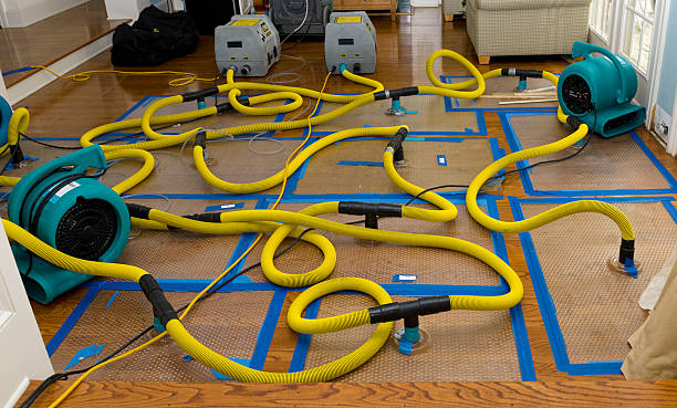 Professional Emergency Water Removal technician working in Fawnskin, CA